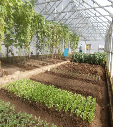 उच्च ऊंचाई वाले क्षेत्रों में सब्जियों के लिए संरक्षित खेती प्रौद्योगिकियां