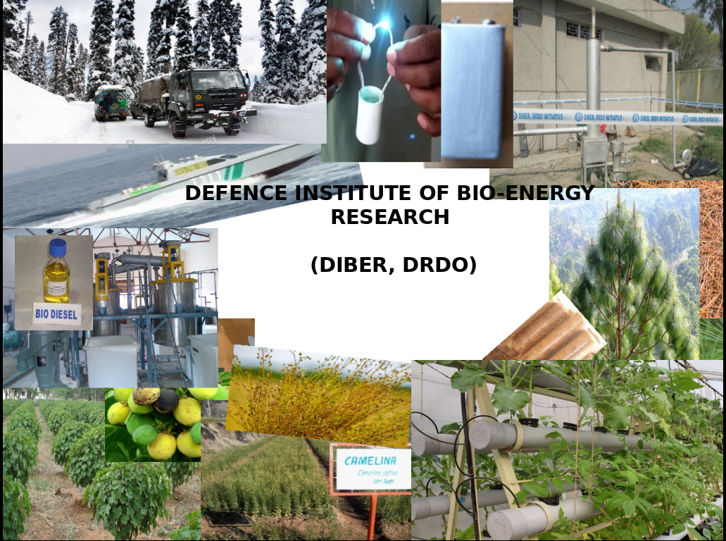 रक्षा जैव ऊर्जा अनुसंधान संस्थान (डीआईबीआईआर)